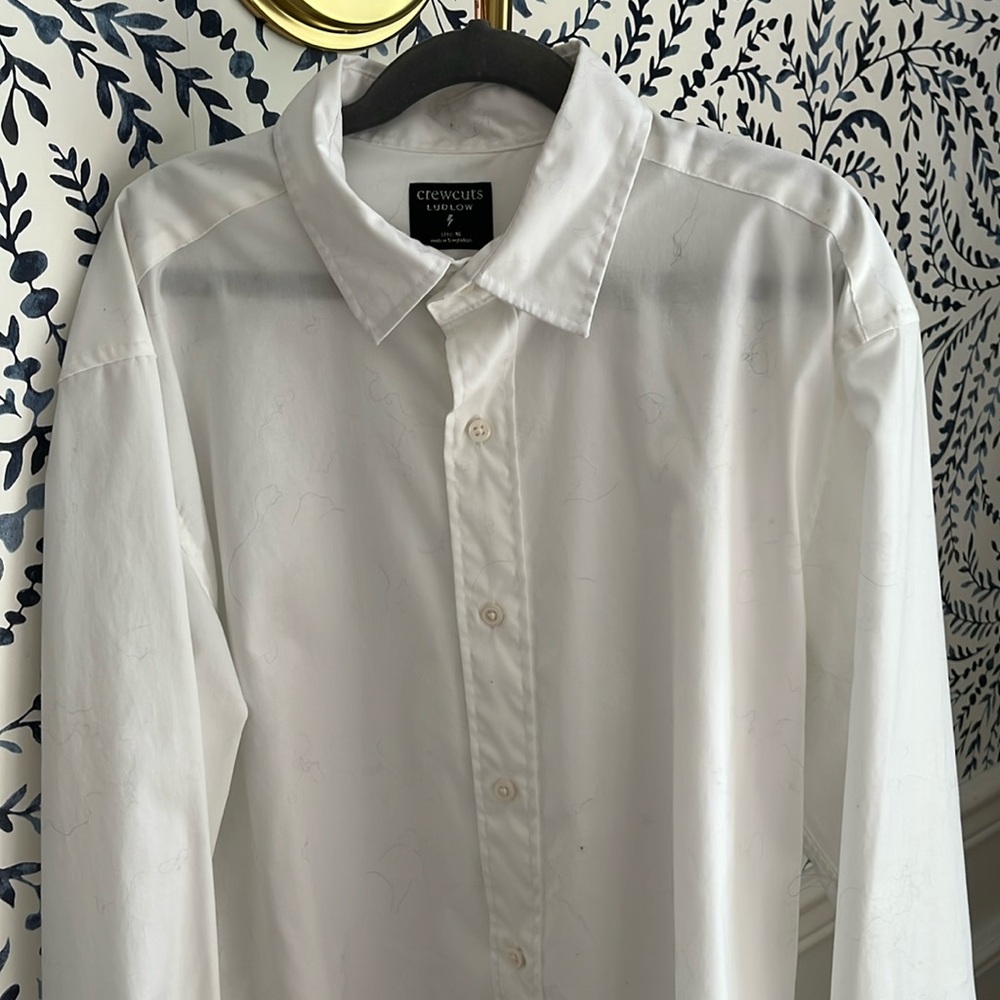 Boys’ J.Crew Ludlow size 16 Cotton Dress Shirt